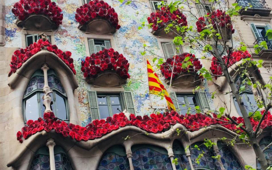 Sant Jordi 2019: amor y cultura